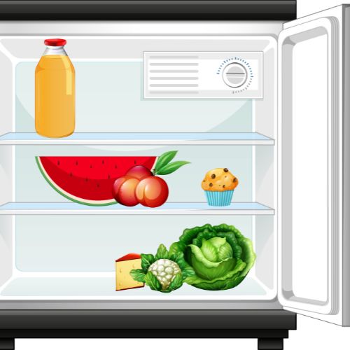 refrigerator repair service